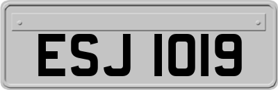 ESJ1019
