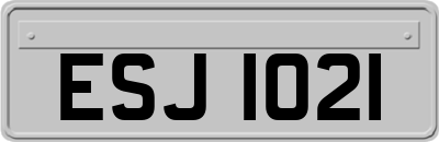 ESJ1021