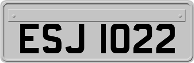 ESJ1022