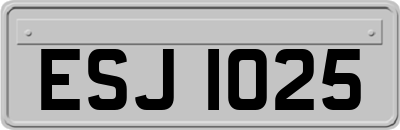 ESJ1025