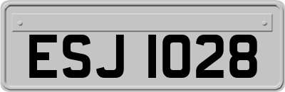 ESJ1028
