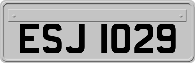 ESJ1029