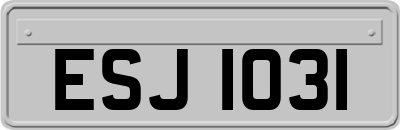 ESJ1031