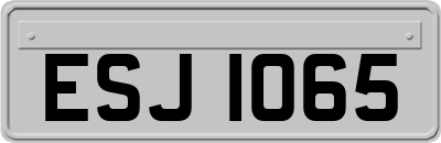 ESJ1065