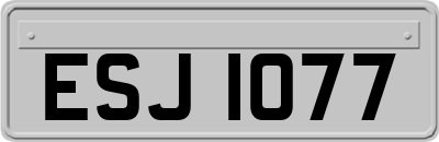 ESJ1077