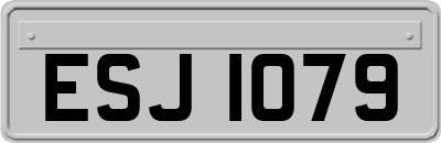 ESJ1079