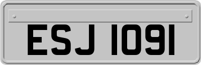 ESJ1091