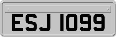 ESJ1099