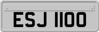 ESJ1100
