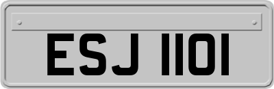 ESJ1101