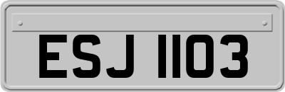 ESJ1103