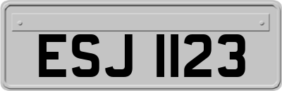 ESJ1123