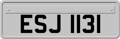 ESJ1131
