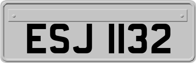 ESJ1132