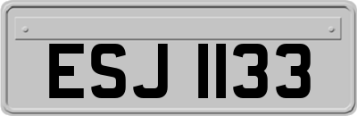 ESJ1133