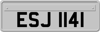 ESJ1141