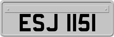 ESJ1151