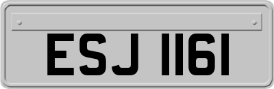 ESJ1161
