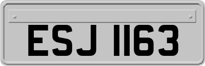 ESJ1163