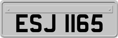 ESJ1165