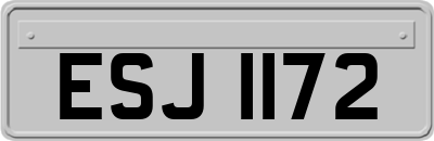 ESJ1172