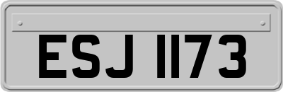 ESJ1173