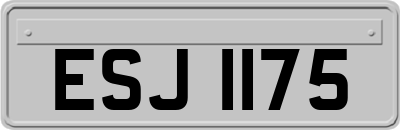 ESJ1175