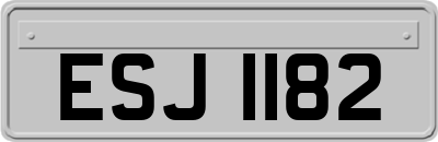 ESJ1182