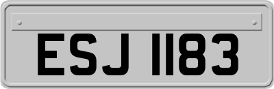 ESJ1183