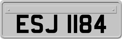 ESJ1184