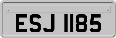 ESJ1185