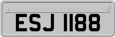 ESJ1188