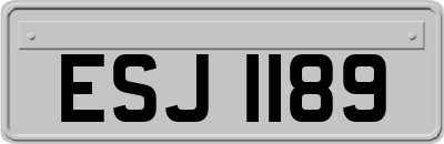 ESJ1189