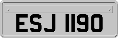 ESJ1190