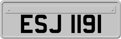 ESJ1191