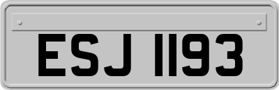 ESJ1193