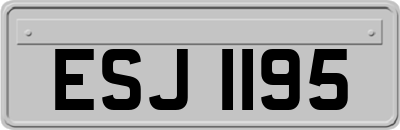 ESJ1195