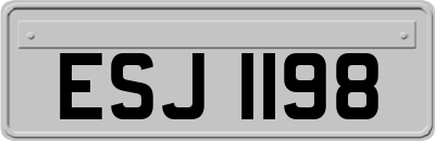 ESJ1198