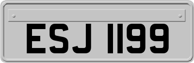 ESJ1199