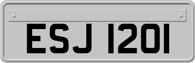 ESJ1201
