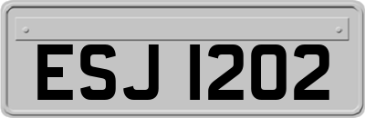 ESJ1202