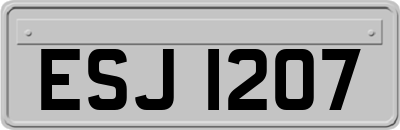 ESJ1207
