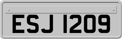 ESJ1209