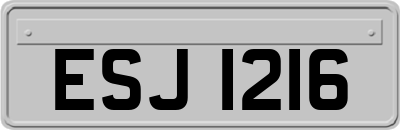 ESJ1216