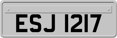ESJ1217