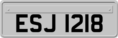 ESJ1218