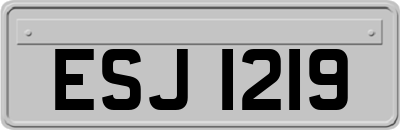 ESJ1219