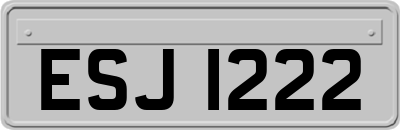 ESJ1222