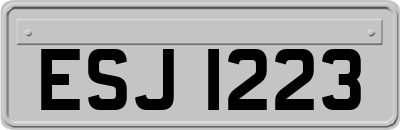 ESJ1223