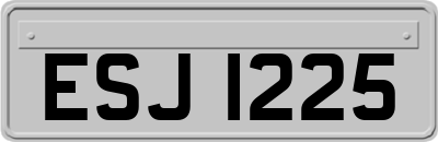 ESJ1225
